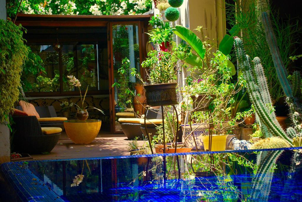 Dar Diafa Bed and Breakfast Καζαμπλάνκα Εξωτερικό φωτογραφία